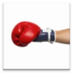 punch meter android application logo